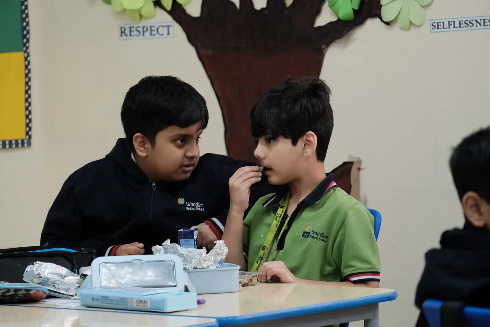 Student learning at Woodlem British School